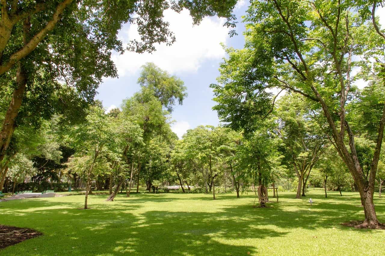 Parks And Gardens