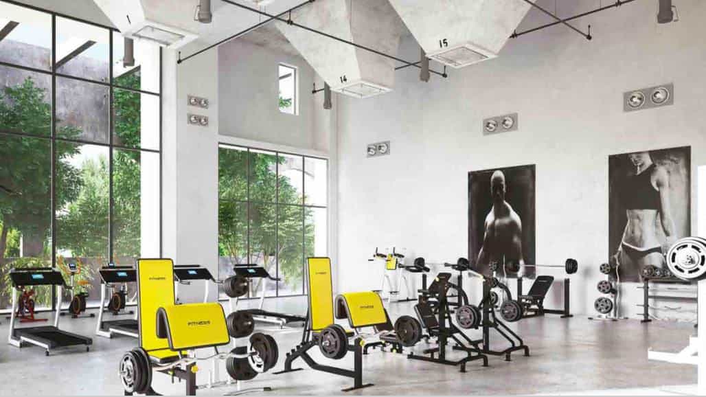 Gymnasium