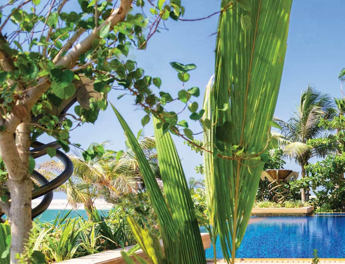 Exotic Garden
