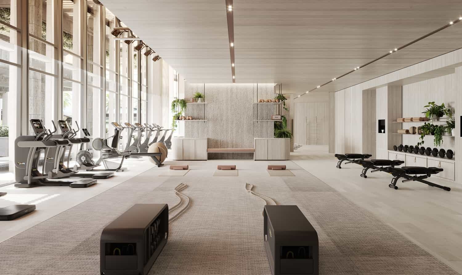 Gym