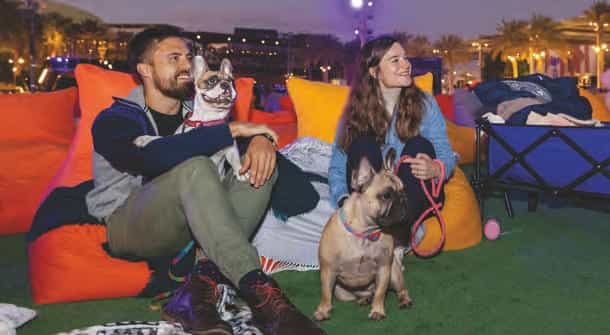Outdoor Сinema