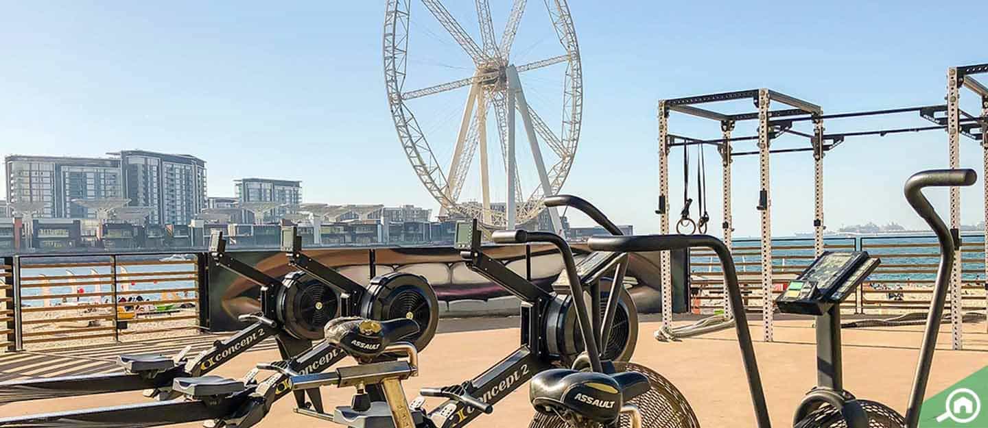 Outdoor Gym