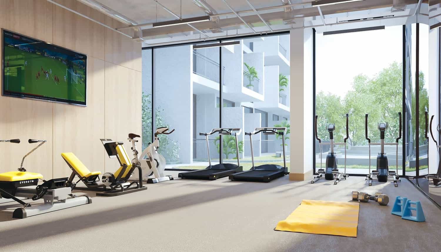 Gym
