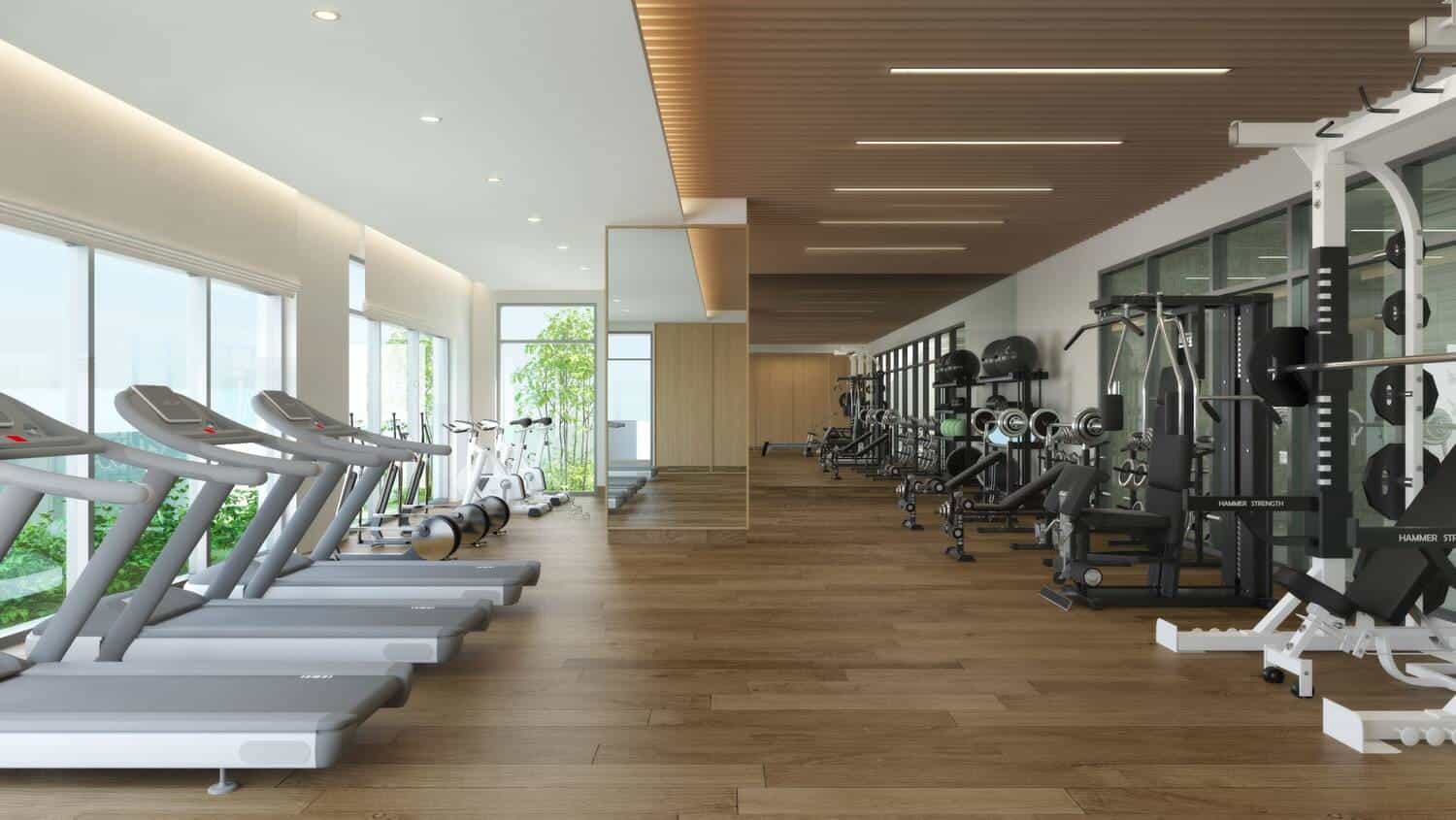 Gym