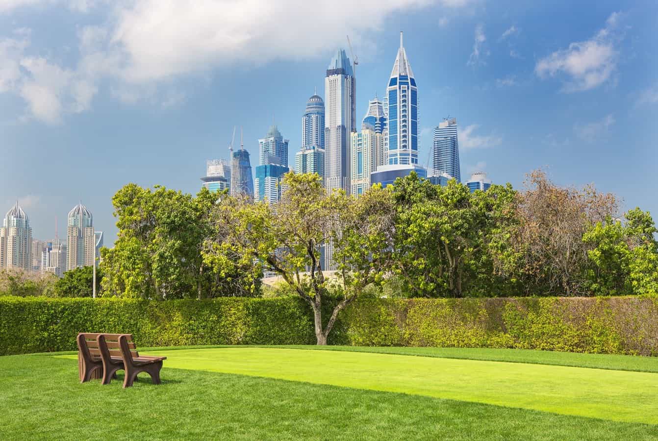 Lush Green Parks