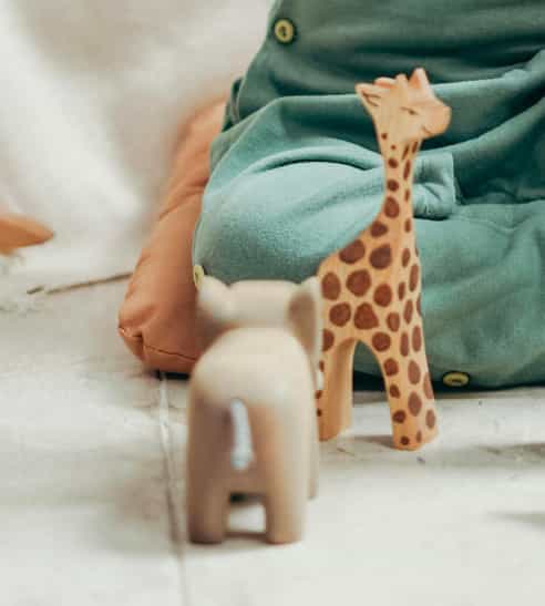 Play Area