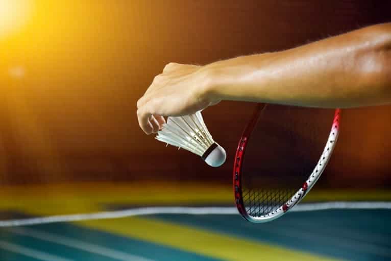 Paddle Tennis Court | Badminton Court