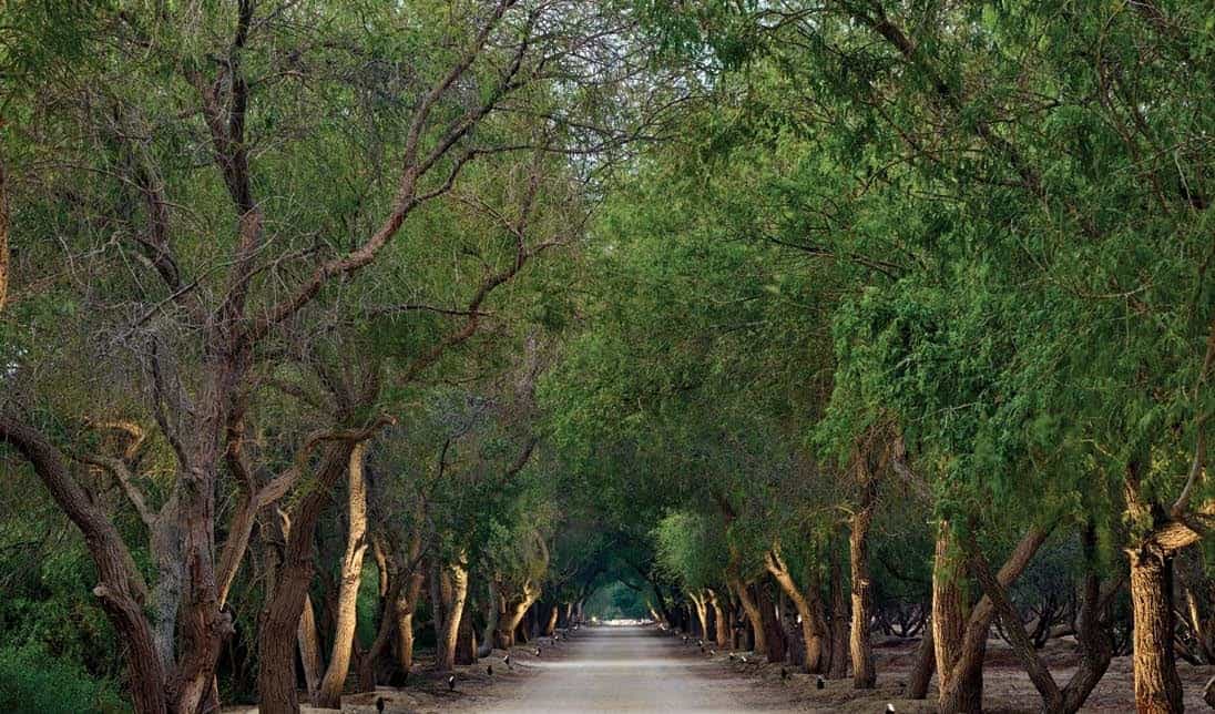 Private Community Entrance