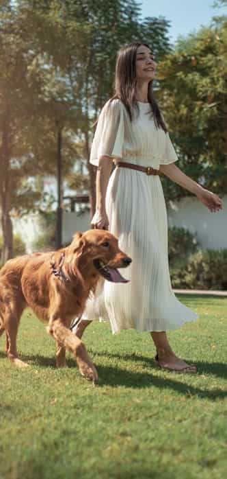 Dog Parks