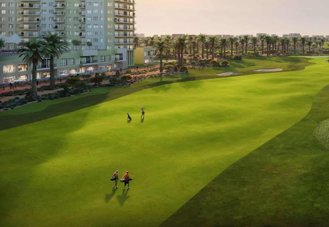 Open Lawns