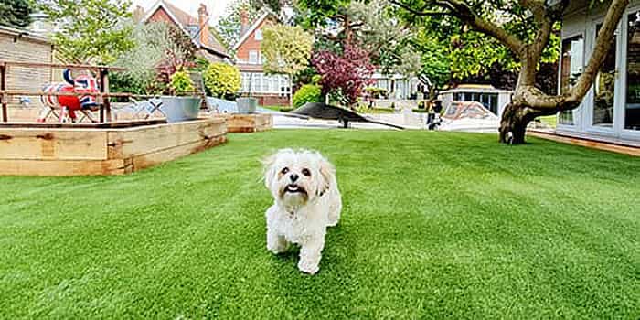 Pet Garden