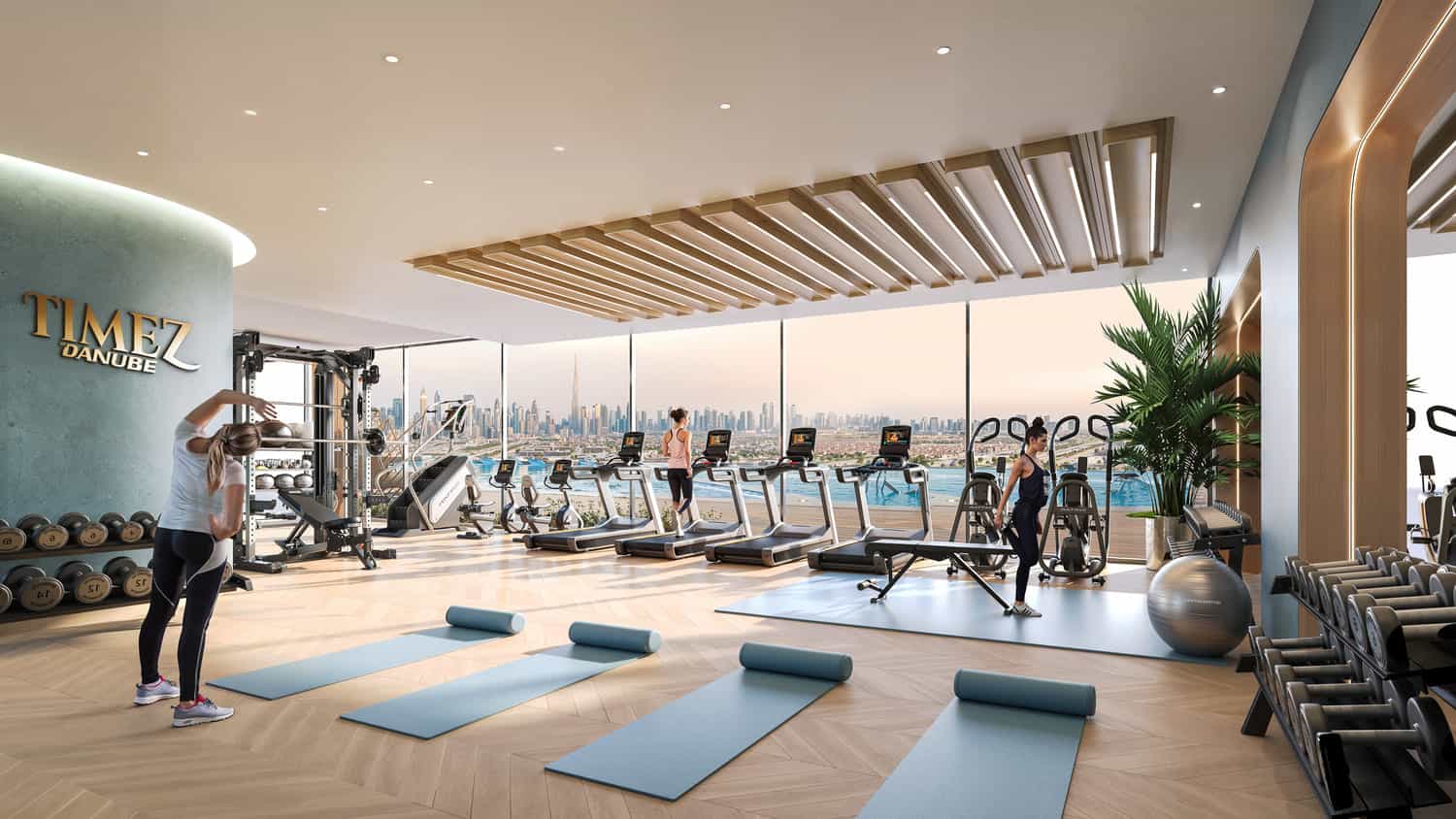 Outdoor & Indoor Gyms