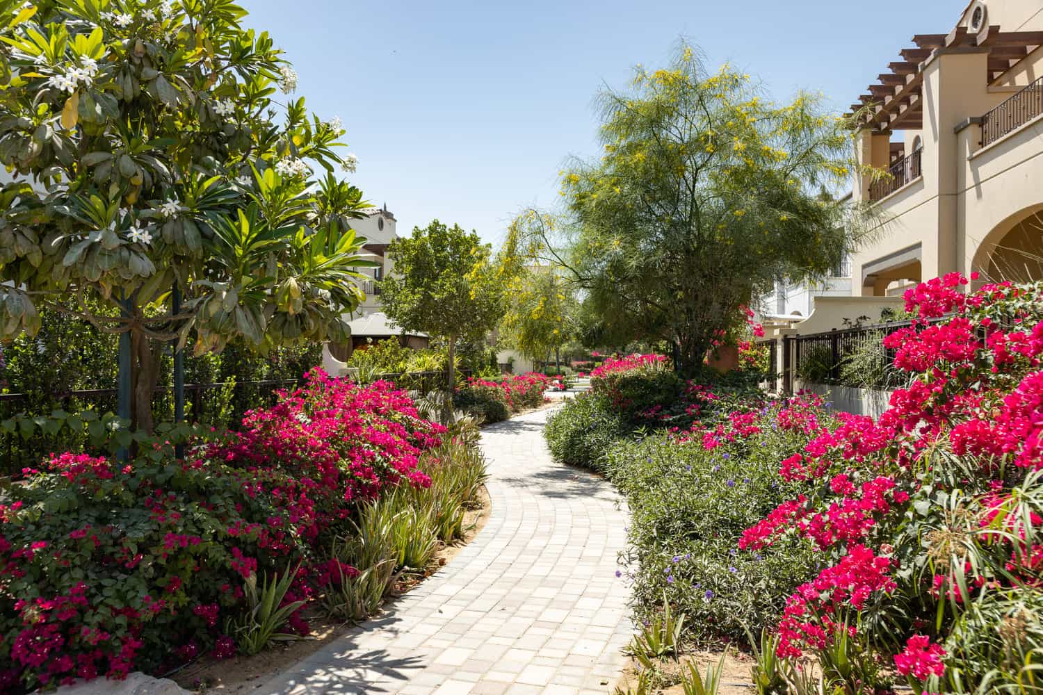 Lush Manicured Gardens