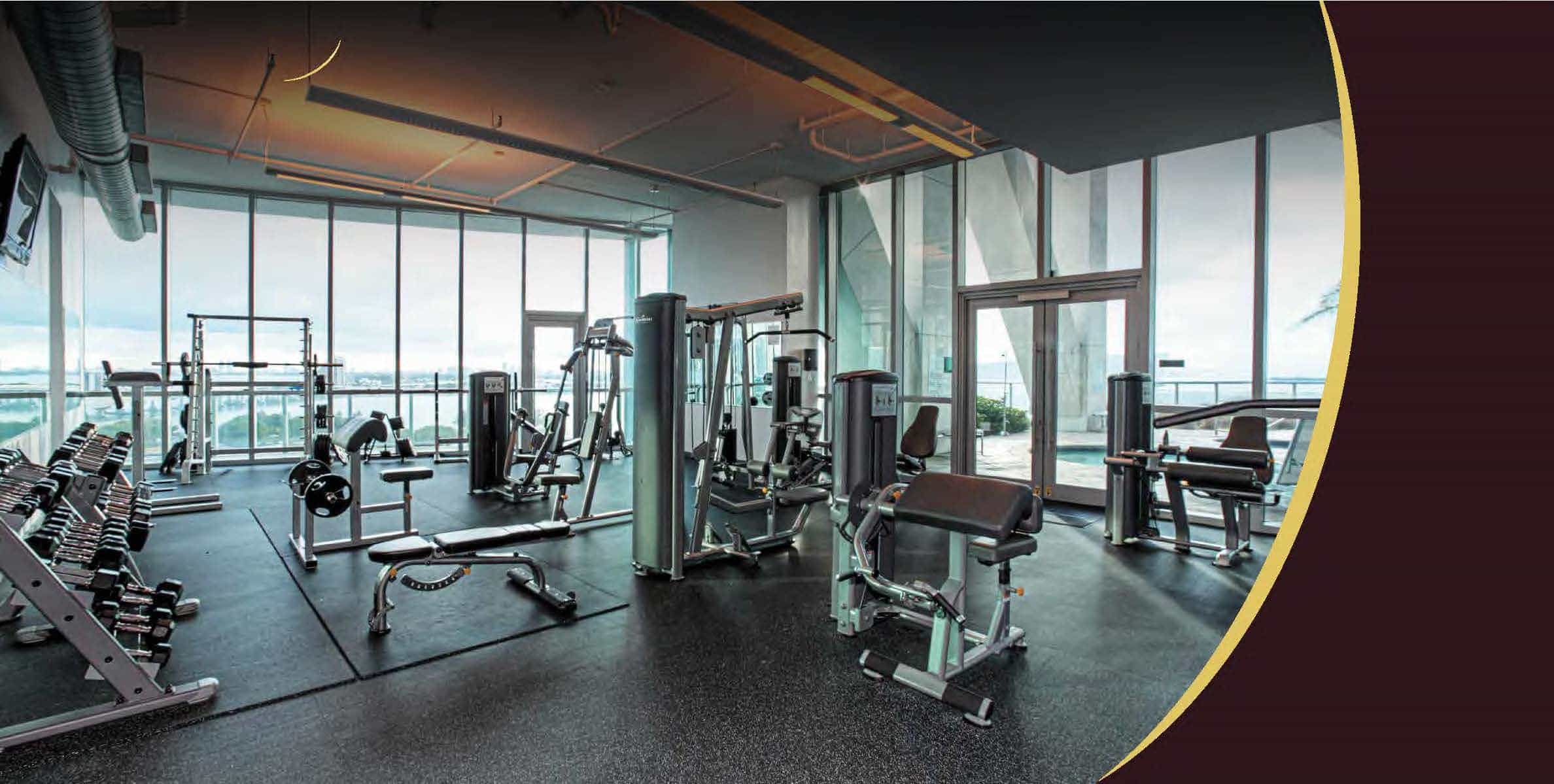 Gymnasium
