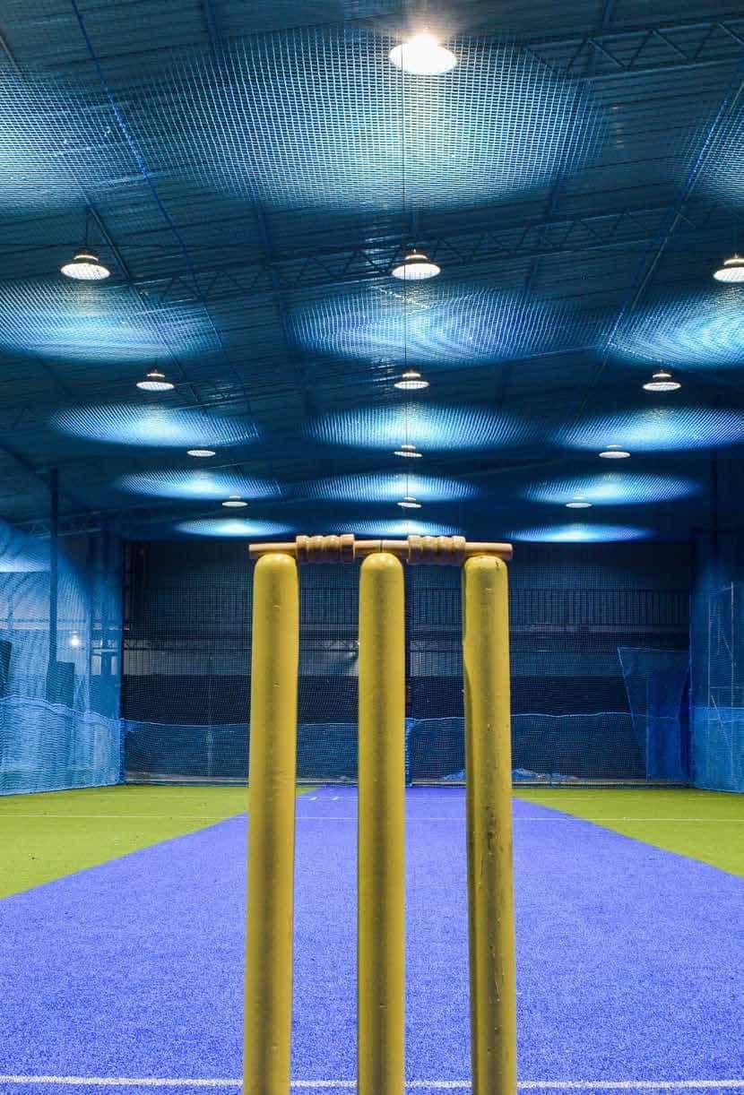 Cricket Pitch