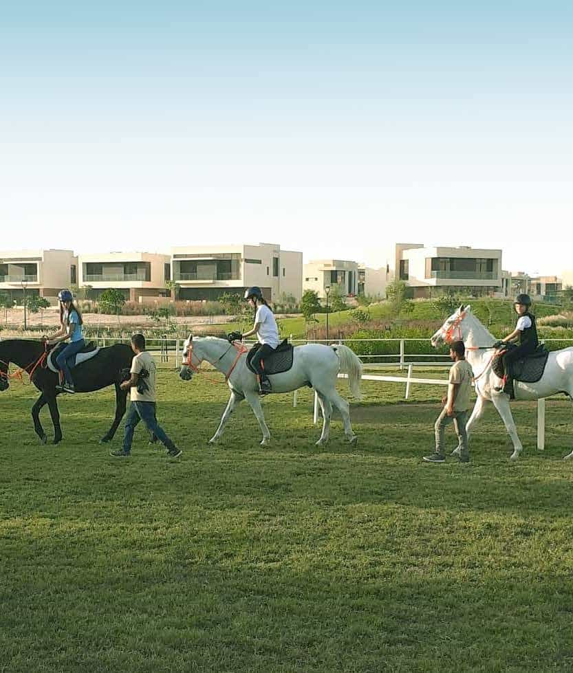 Stables With Horse-Riding Lessons