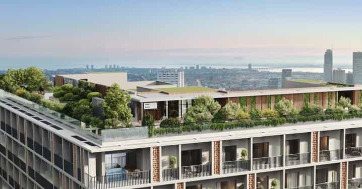 Roof Garden