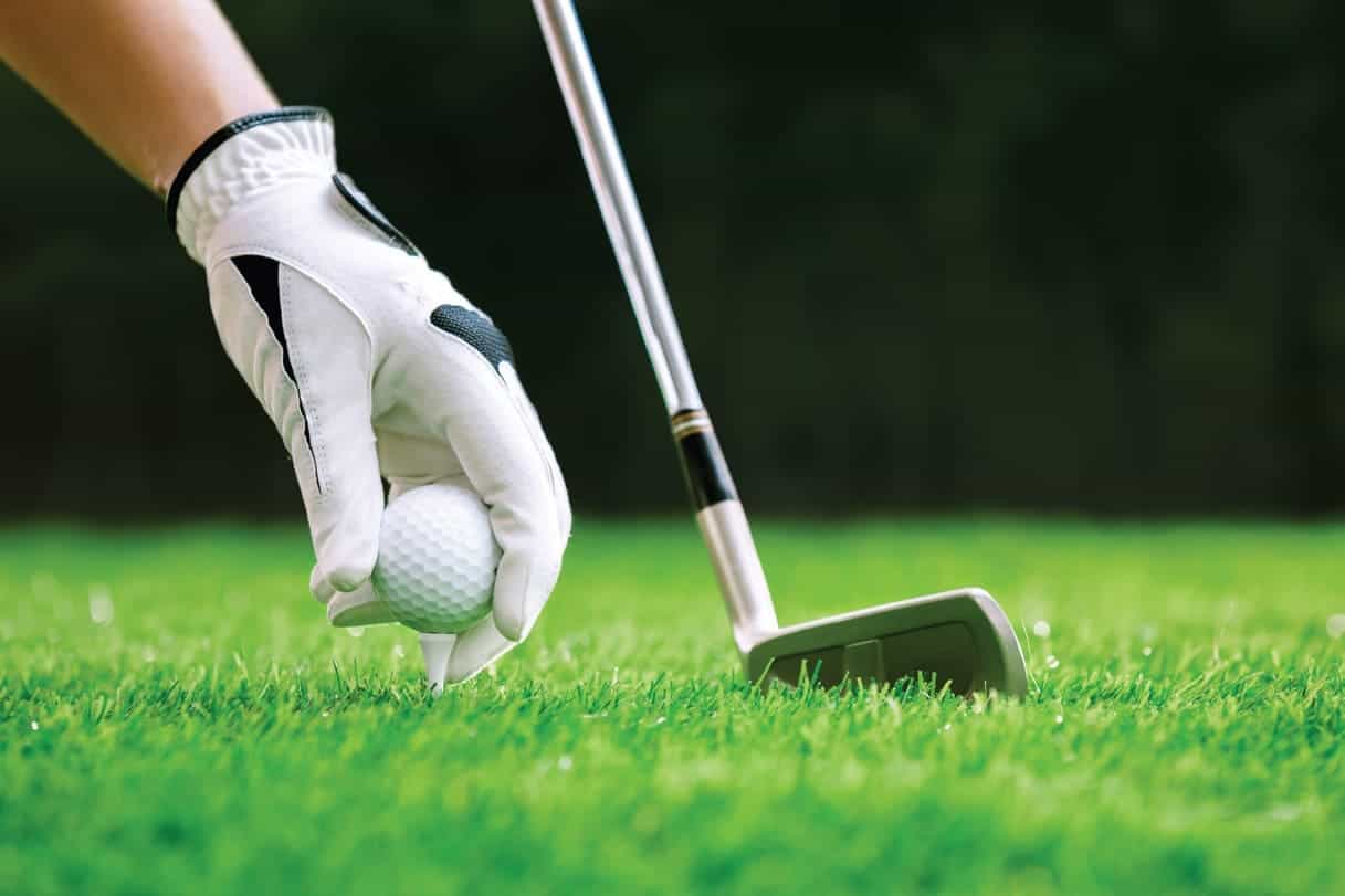 Golfing Zone