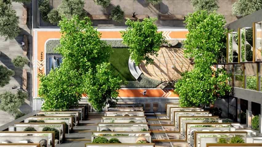 Elevated Gardens