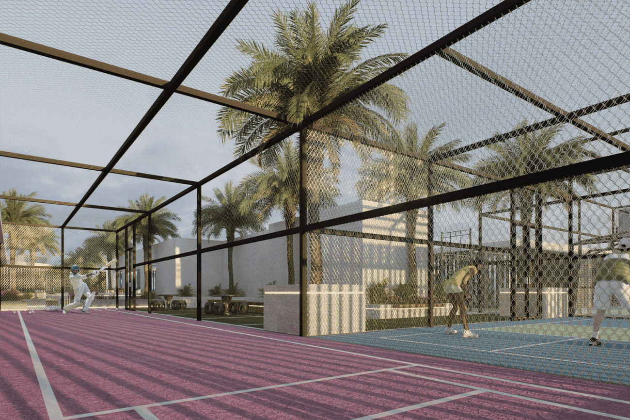 Cricket Pitch