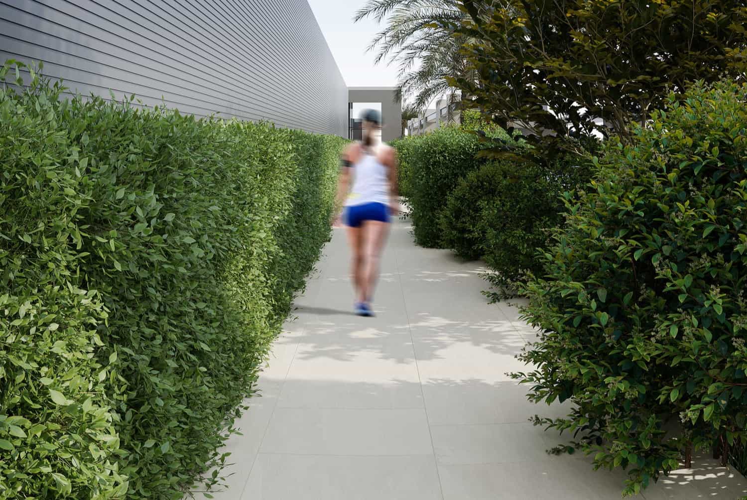 Walking Track