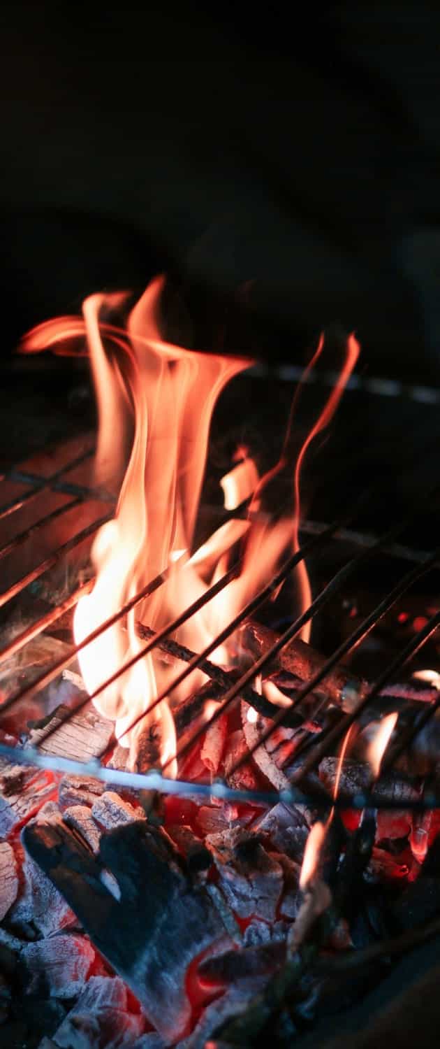 Bbq Area