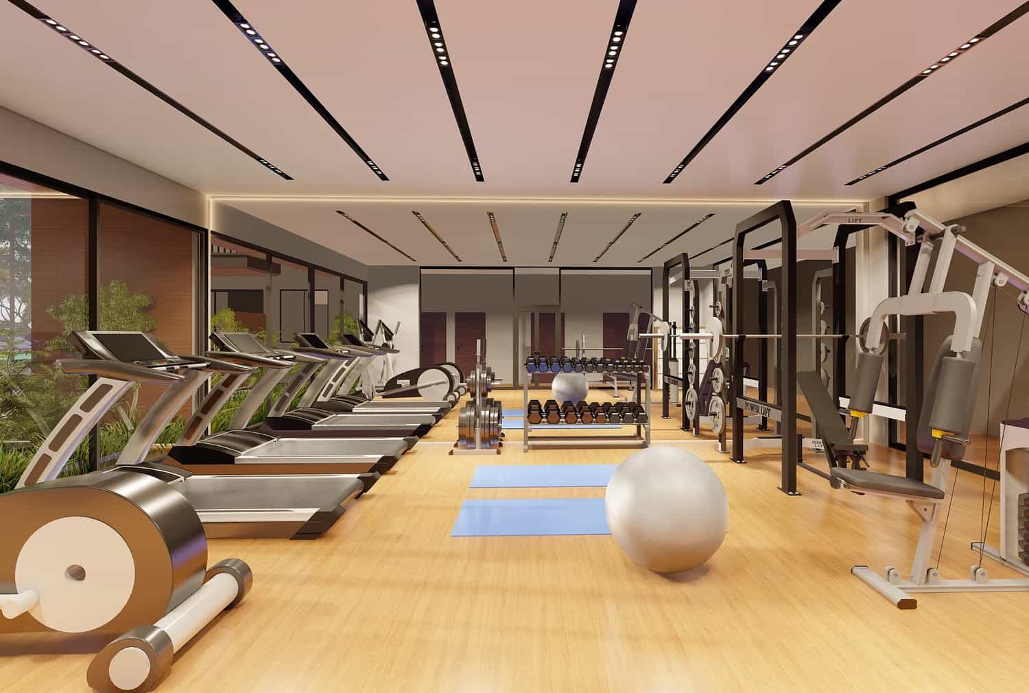 Gymnasium