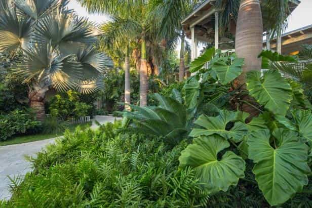 Landscaped Gardens