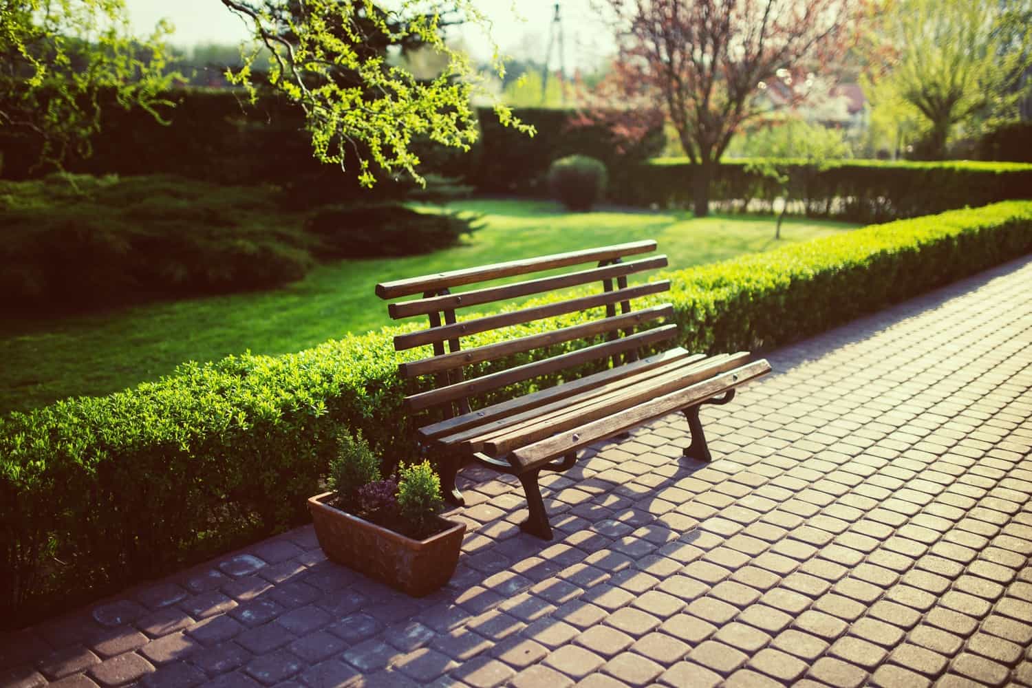 Outdoor Area