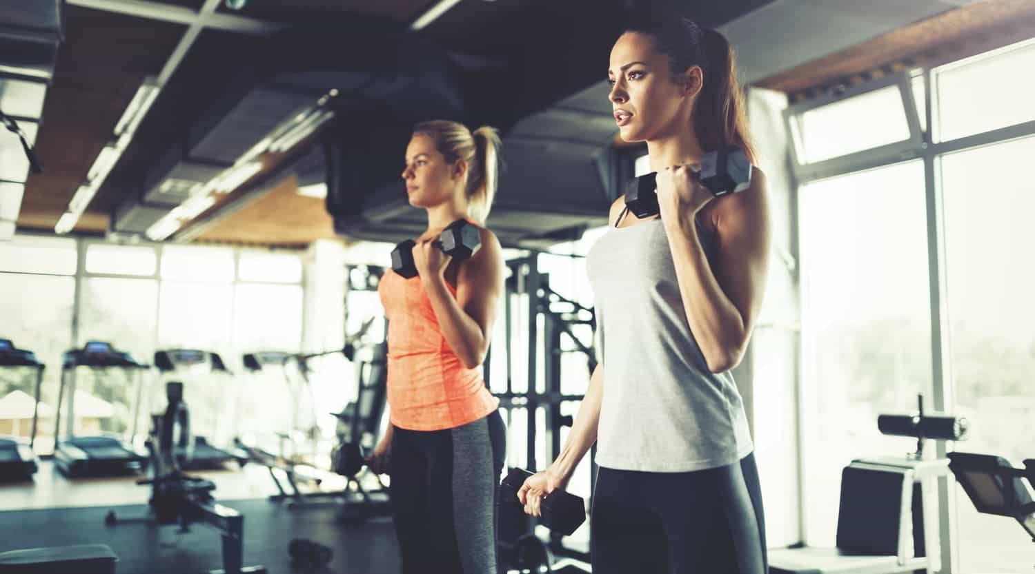Gyms, Outdoor Wellness And Fitness Areas