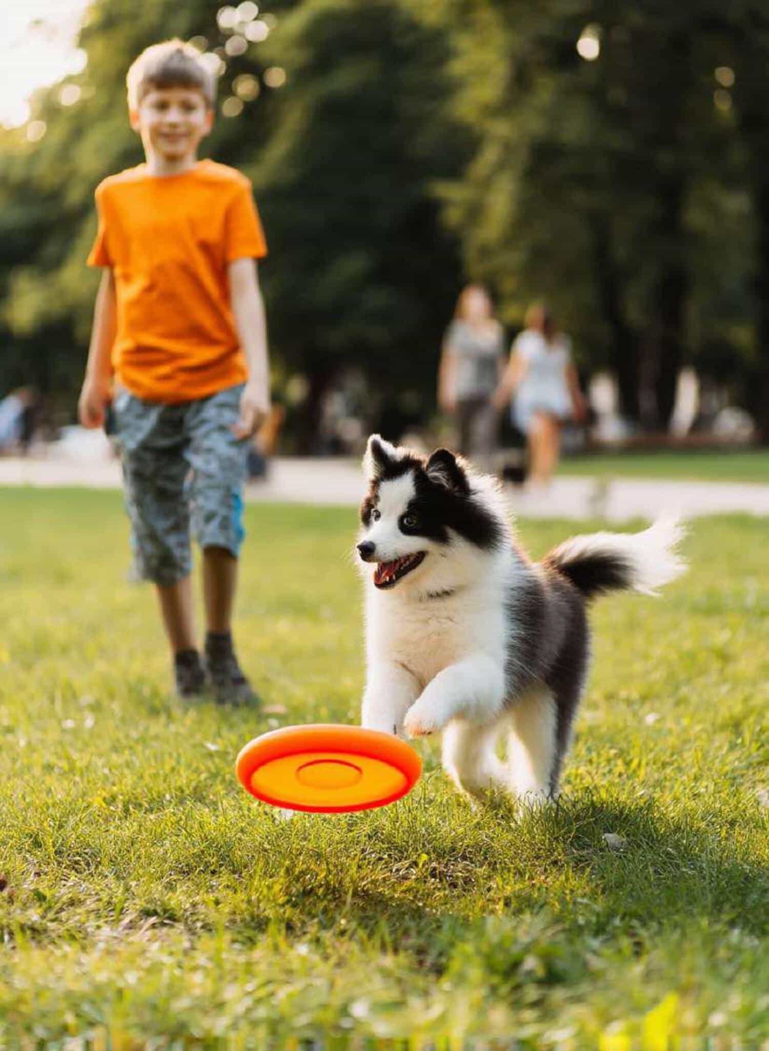 Activity Lawn