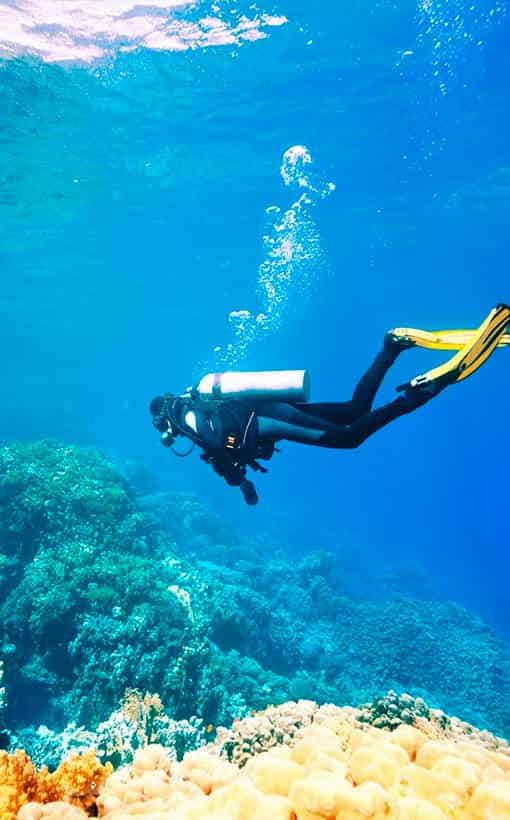 Unique Coral Reef Diving Experience