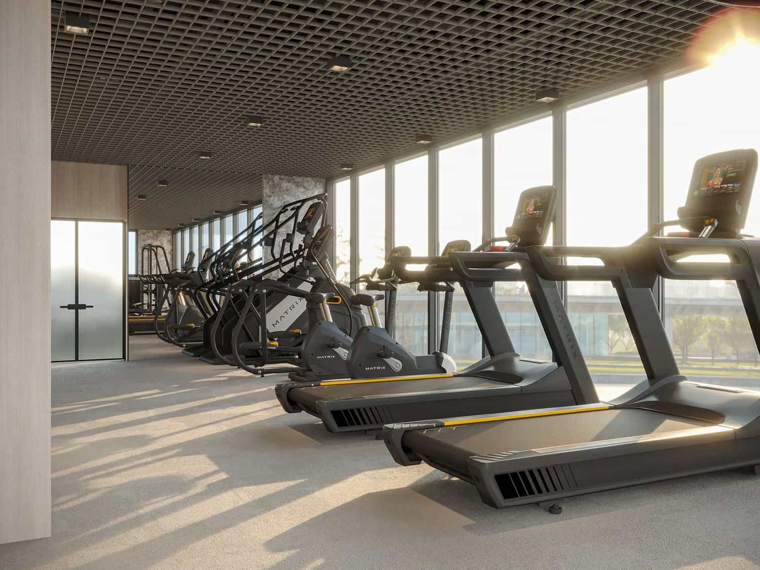 Gymnasium
