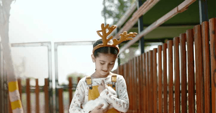 Petting Farm