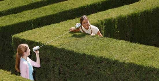 Hedge Maze