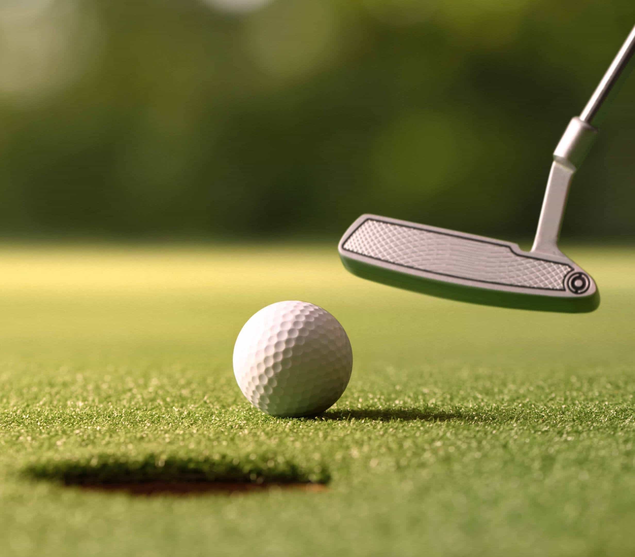 Mini Golf Court