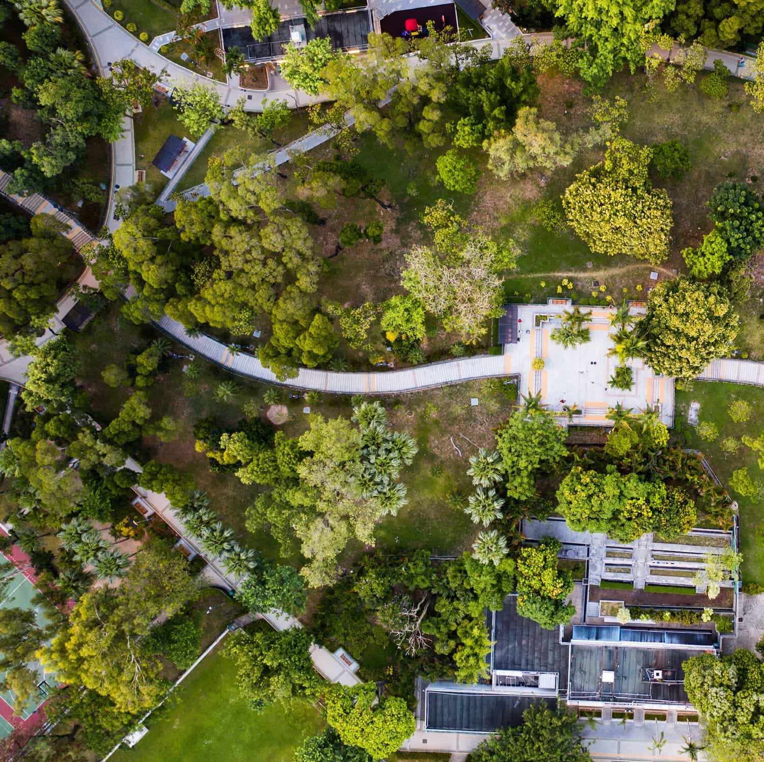 Linear Park