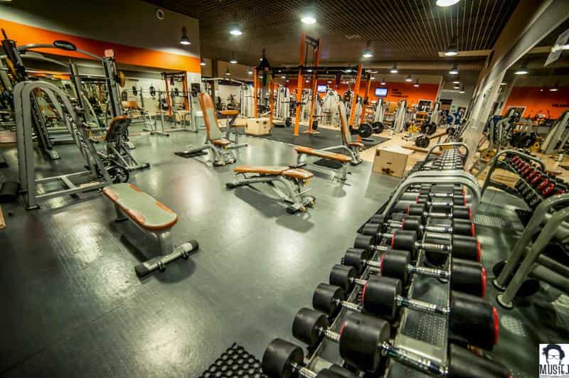 Gymnasium