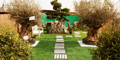 Green Zone