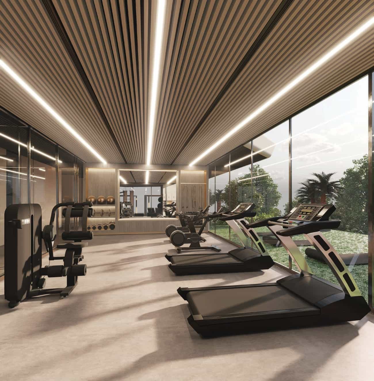Gym