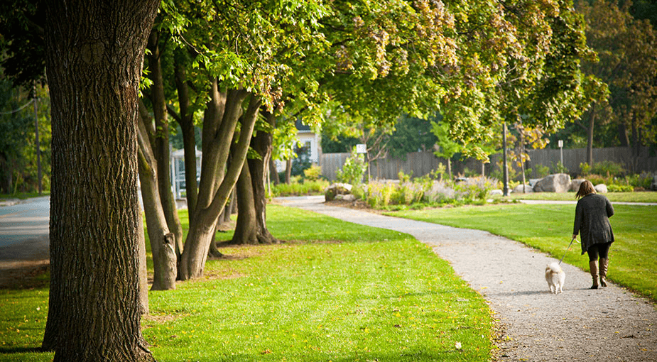Parks And Leisure Areas