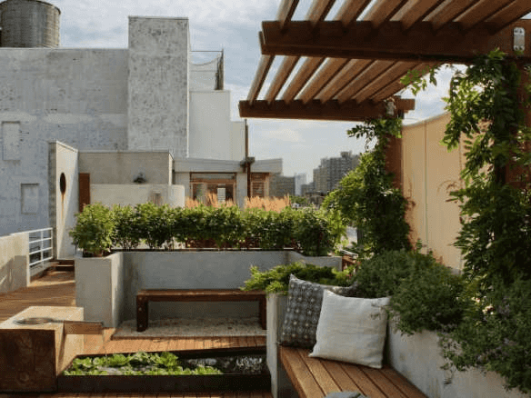 Roof Garden