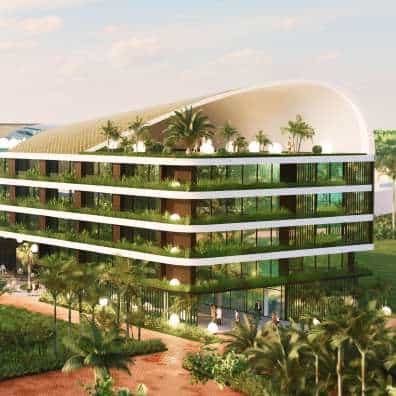 Jungle Roof-Top