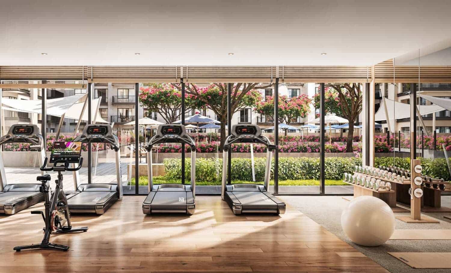 Gym