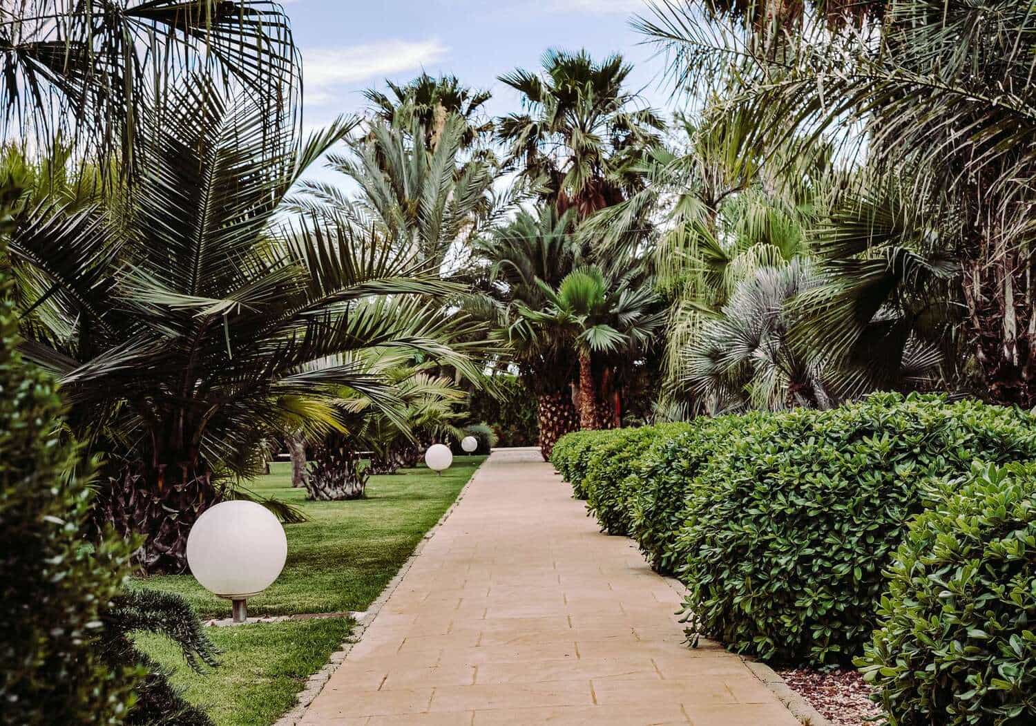 Lush Green Park