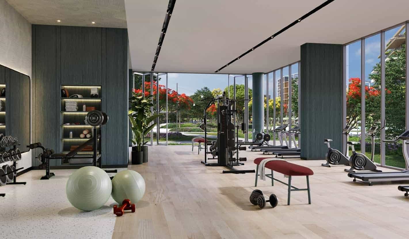 Outdoor Gym And Fitness Station