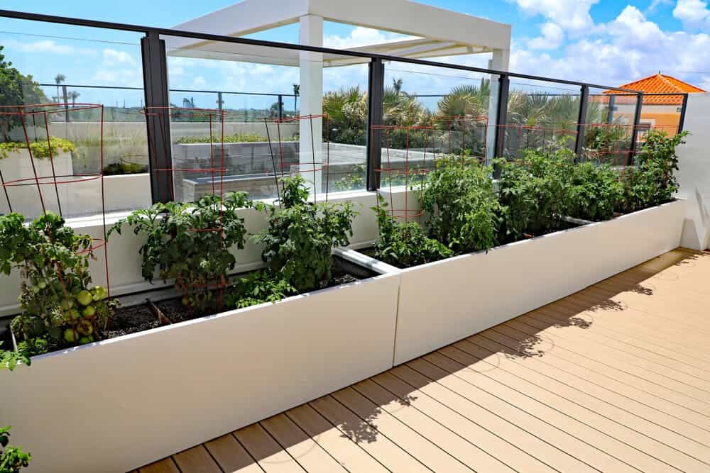 Planter Area