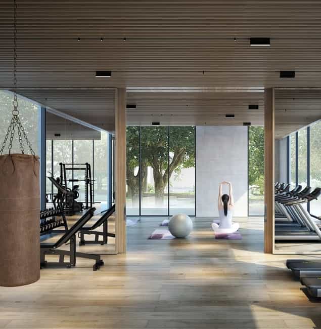 Gymnasium