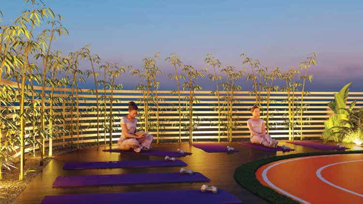 Zen Garden
