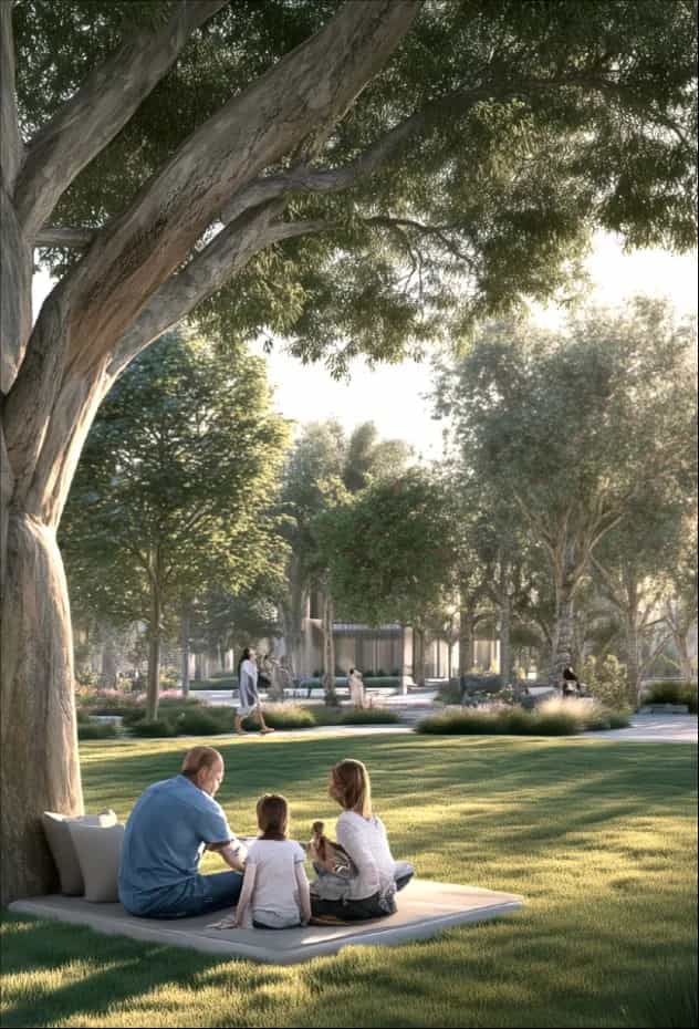 Picnic Area